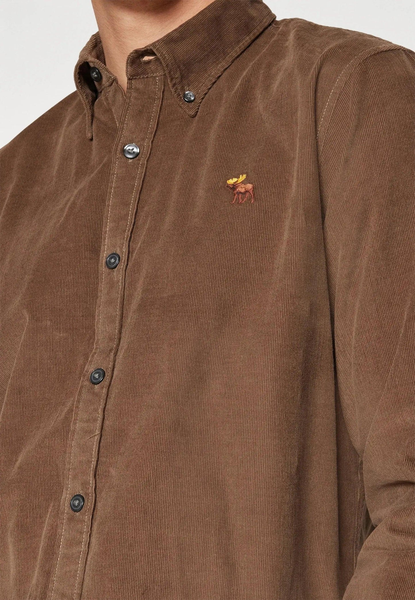 Camisa oxford Chocolate A&F
