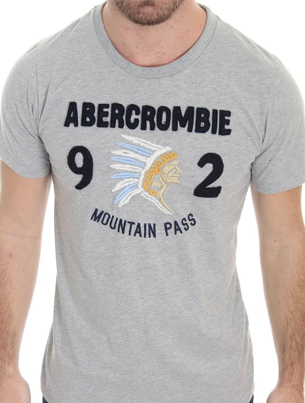 Camiseta Masculina 92 Indian Mountain Pass Cinza Mescla